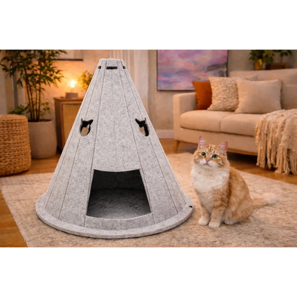 ÇİNÇİN kedi evi